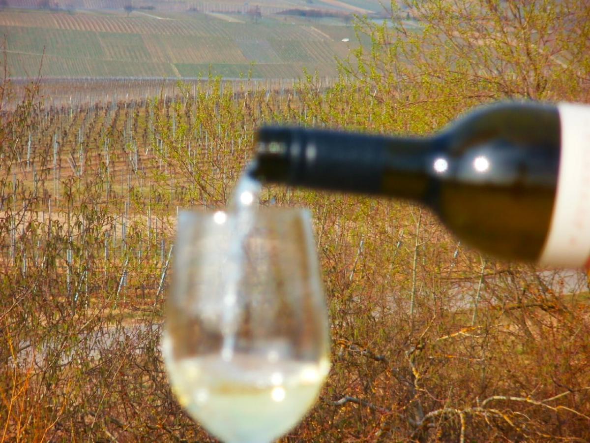 Gaestehof - Weinbau Saeger Nordheim am Main Luaran gambar